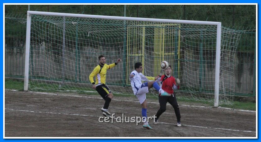 130119 spadaf 080y_tn.jpg
